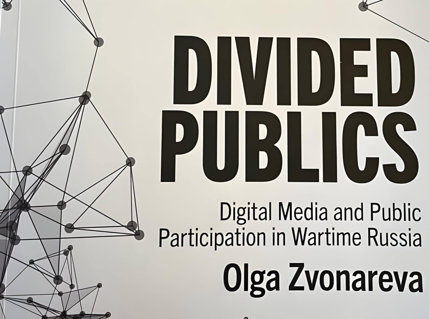 Affiche van Divided Publics van Olga Zvonareva.